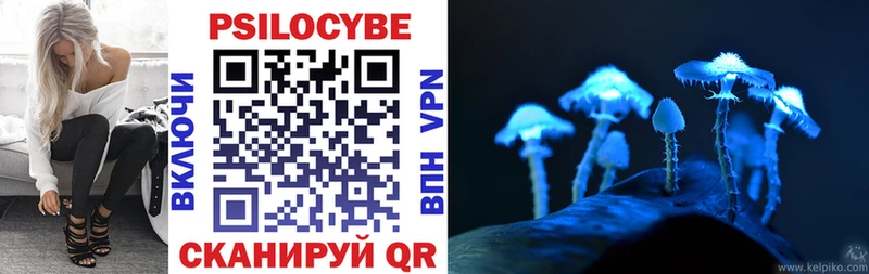 Галлюциногенные грибы Psilocybine cubensis  как найти закладки  Стародуб 